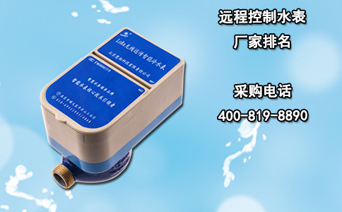 远程控制水表厂家排名